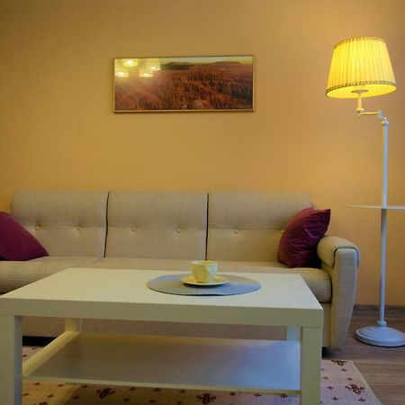 Central Comfortable One-Bedroom Apartment Kischinau Exterior foto